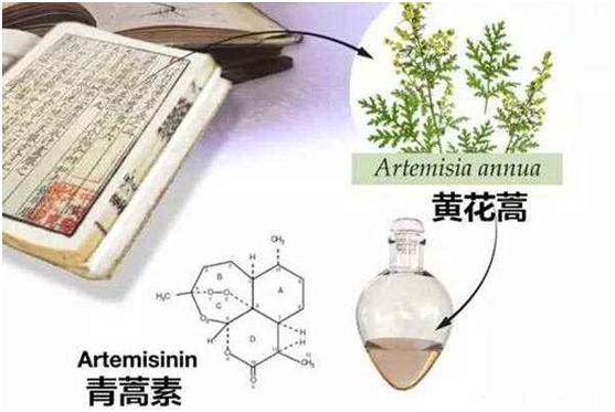 LEYU.COM乐鱼体育(中国大陆)科技公司,：向中医药看齐，与世界共享中医药文化(图1)